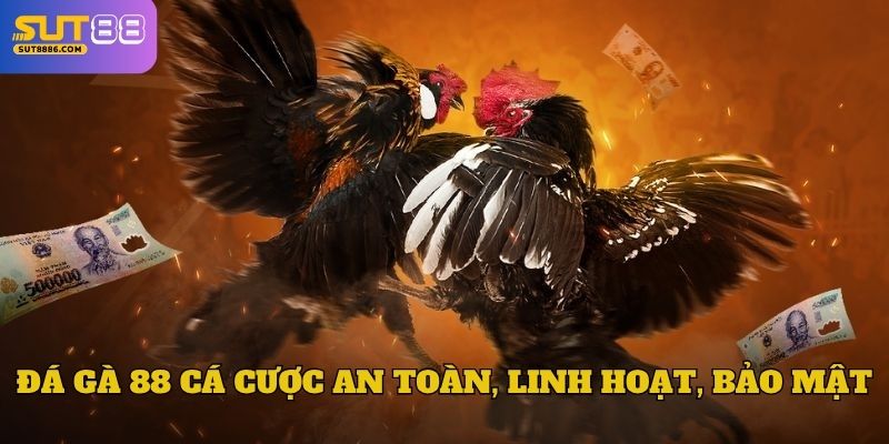 Đá gà 88 cá cược an toàn, linh hoạt, bảo mật